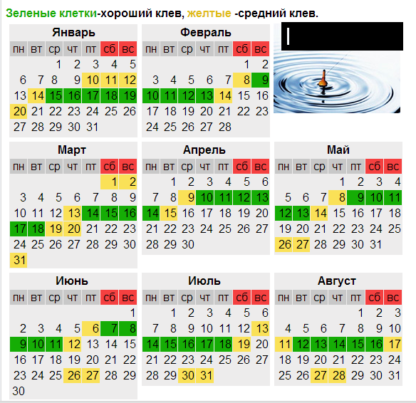 текст при наведении