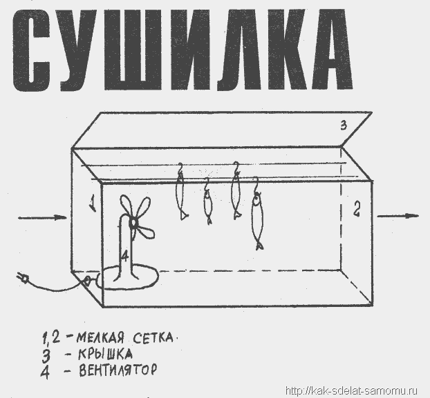 текст при наведении