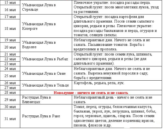 текст при наведении