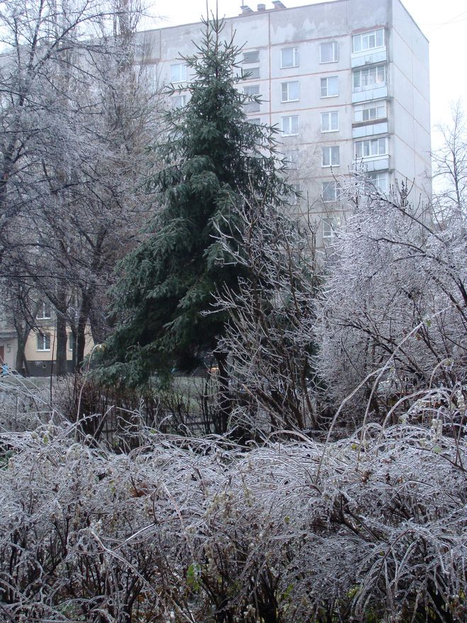 текст при наведении