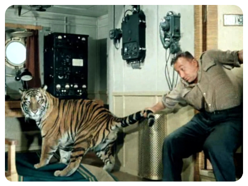 тигры в кино, животные в кино, хищники в кино, актёры дрессировщики, советское легендарное кино