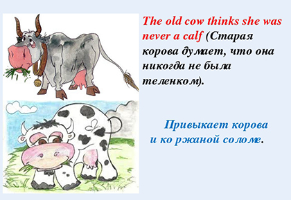 Пословицы поговорки о коровах на Новый год 2021
