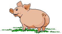 картинка со свиньей анимация
