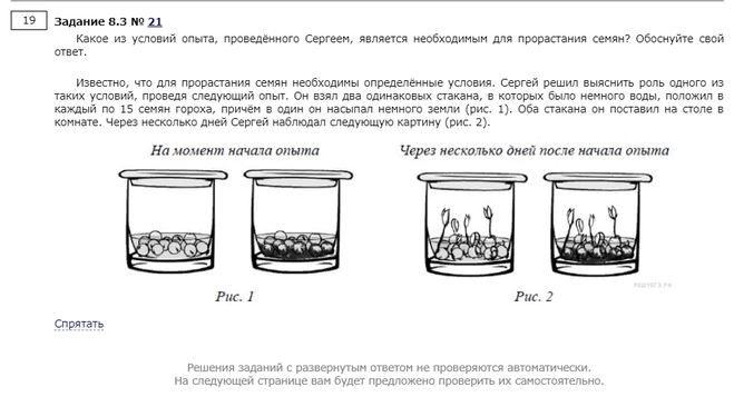 Какие наблюдения и сравнения необходимо проводить алине