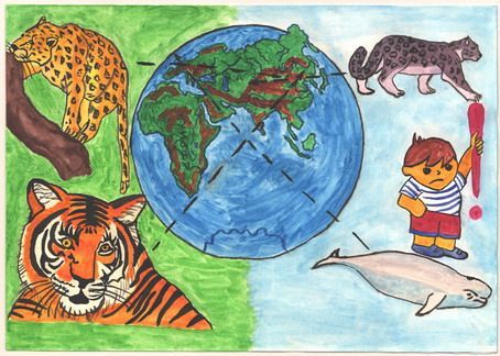 Охрана животных 2 класс человек и мир. Охрана животных рисунок. Плакат охрана животных. Рисунки по теме экология животных. Плакат берегите животных.
