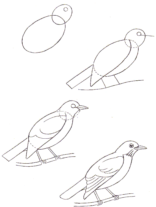 нарисовать птицу