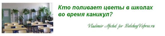 кто поливает цветы в школах на каникулах