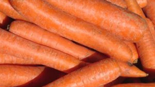 Сколько нужно съесть моркови чтобы пожелтеть