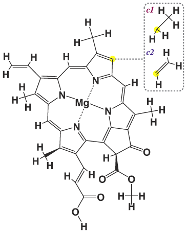 молекула хлорофилла