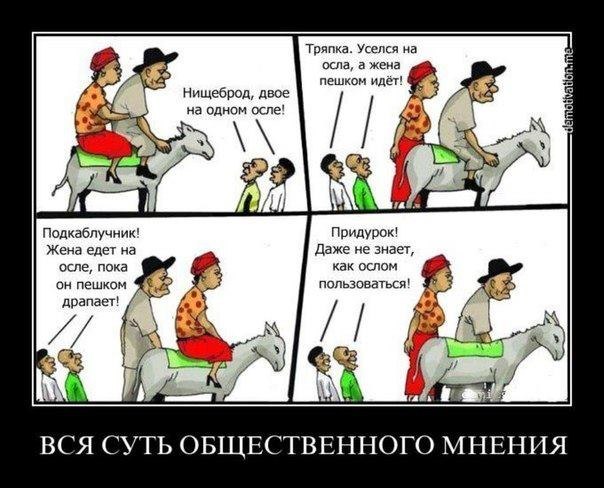 общественное мнение, демотиватор