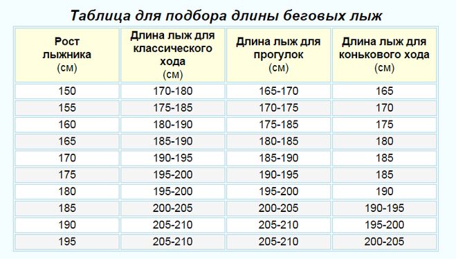 Какие лыжи выбрать для конькового хода