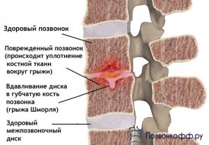 текст при наведении