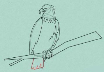 Как нарисовать орла карандашом поэтапно.