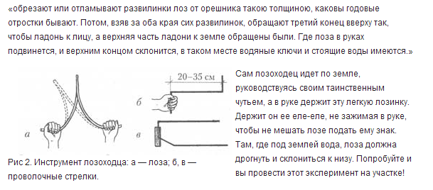 текст при наведении