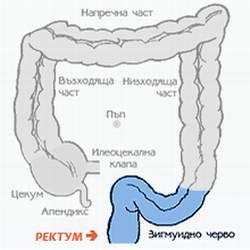 текст при наведении