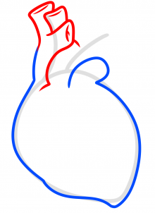 как нарисовать сердце , 14 февраля