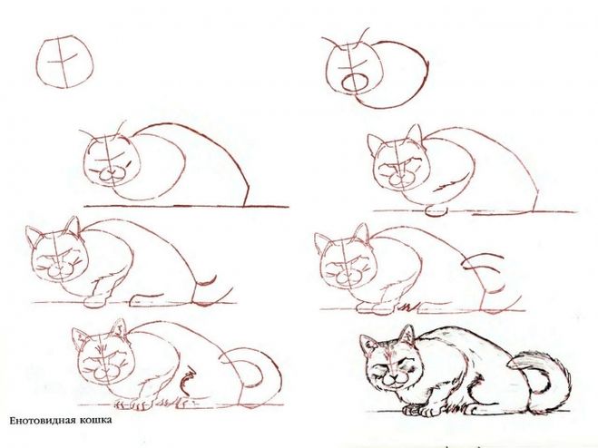 как нарисовать кошку карандашом поэтапно