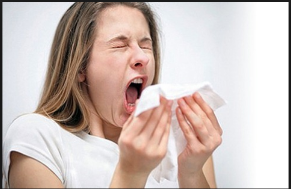 аллергия на пыль