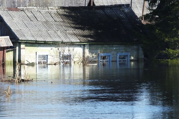 Какая компенсация положена пострадавшим от наводнения в 2023 году?