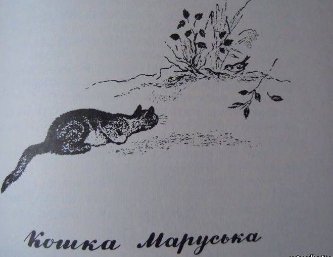 Маруська. Чарушин кошка Маруська.