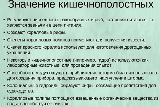 Значение кишечнополостных в природе и для человека