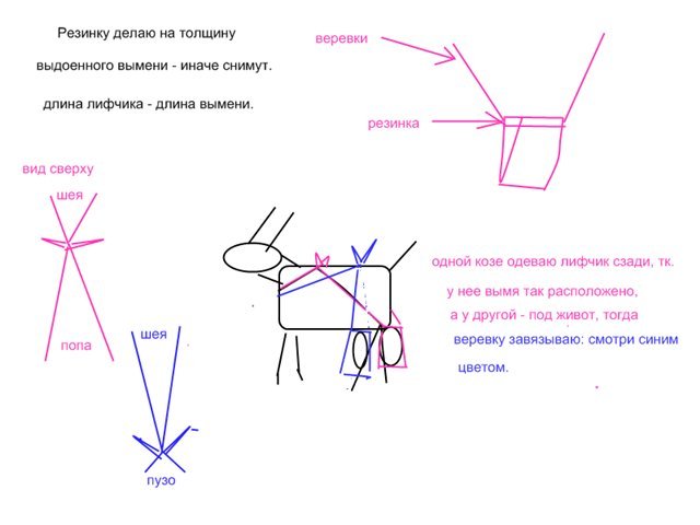 Лифчик для козы выкройка чертеж