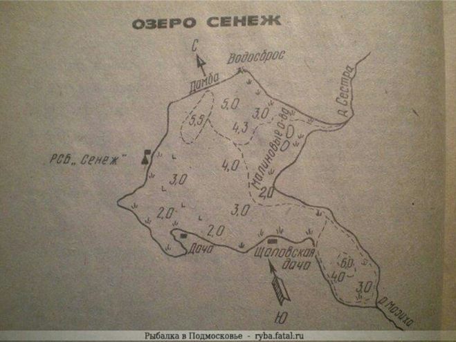 Карта оз. Глубины озера Сенеж. Карта глубин озера Сенеж. Озеро Сенеж карта. Карта глубин оз Сенеж.