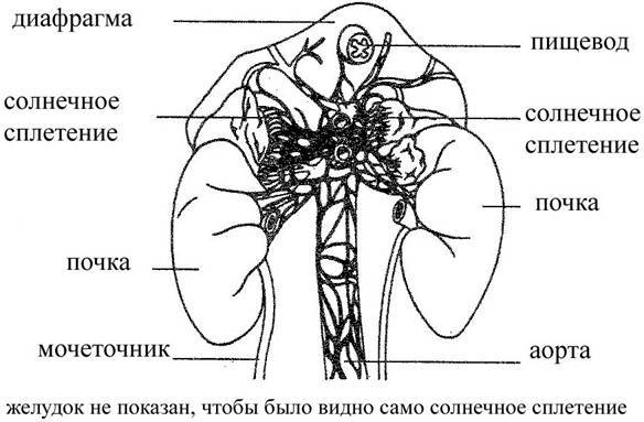 текст при наведении