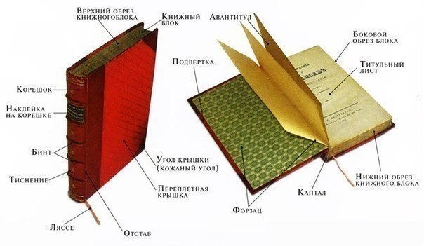 текст при наведении