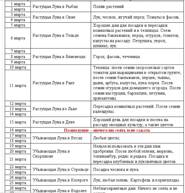 текст при наведении