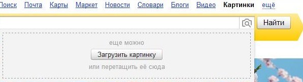 текст при наведении