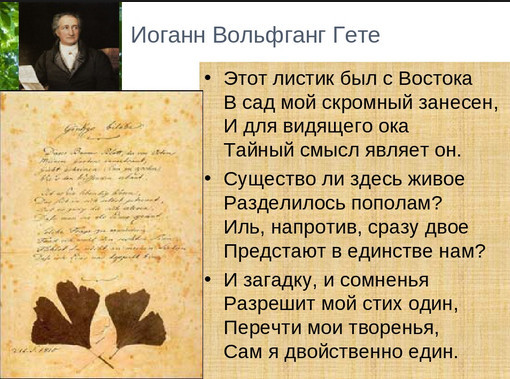 Гет стихи. Иоганн гёте стихи. Иоганн Вольфганг Гете стихи. Стихотворение Гете. Гете стихи о любви.