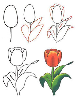 "День Победы", рисунок с тюльпанами поэтапно