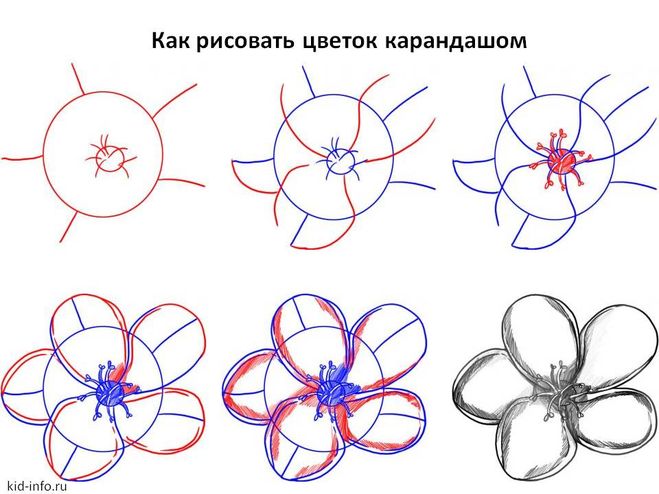 текст при наведении