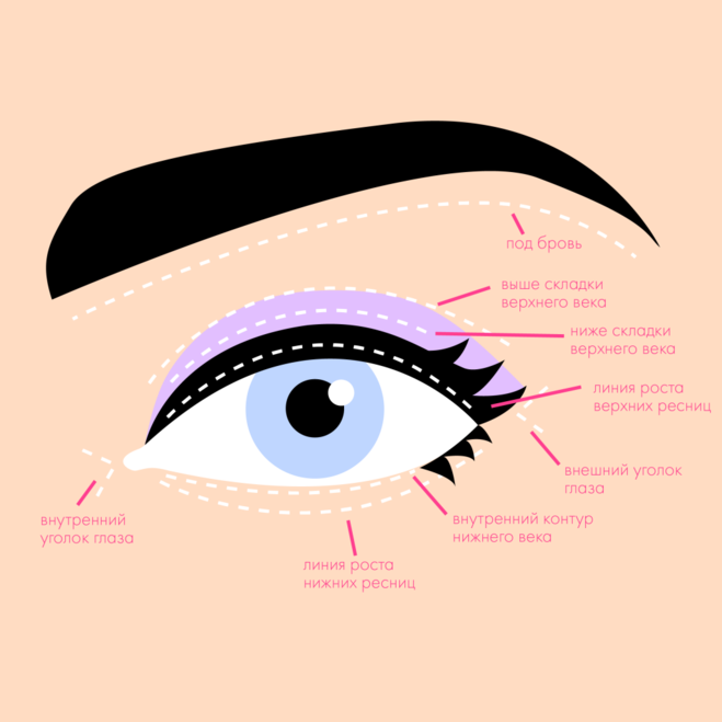 Подвижное веко где это. Складка,подвижное веко глаза. Строение глаза визаж. Строение глаза для макияжа. Схема макияжа глаз.