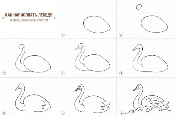 Рисунок к сказке о царе салтане 3 класс не сложный по этапно лебедь