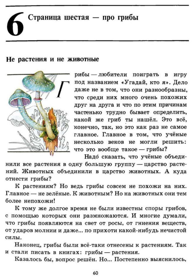 Рассказ его величество боровик. Плешаков зеленые страницы 3 класс о грибах. Зеленая книга не растения и не животные. Книга зелёные страницы 3 класс рассказ о грибах. Зеленые страницы книга грибы книга грибы.