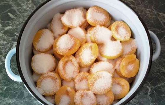 Как приготовить варенье, джем, повидло, желе из абрикосов