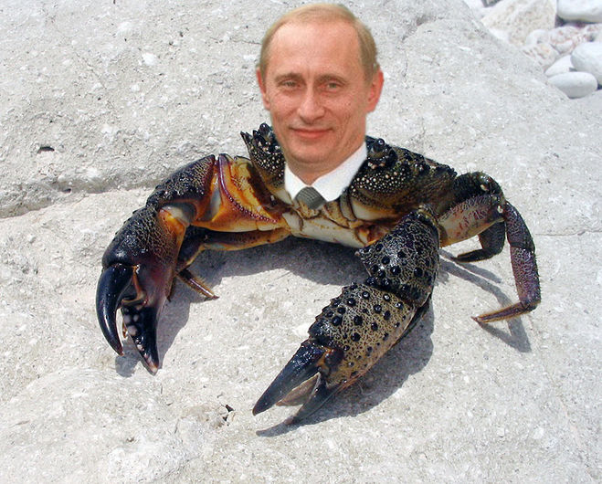 Путин - краб ^^