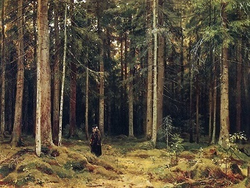 Шишкин В лесу графини Мордвиновой описание