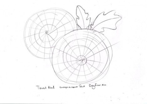 как нарисовать хризантему
