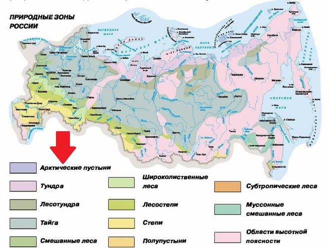 Коэффициент увлажнения тундры и лесотундры. Природная зона Арктическая тундра на карте. Карта природных зон России широколиственные леса. Тундра Тайга смешанные и широколиственные леса на карте. Природная зона лесов на карте России.
