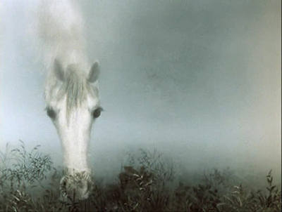 психоделическое в сказке "Ежик в тумане"
