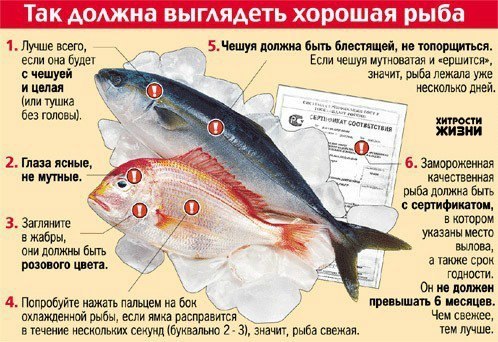 Рыба, как выбрать рыбу