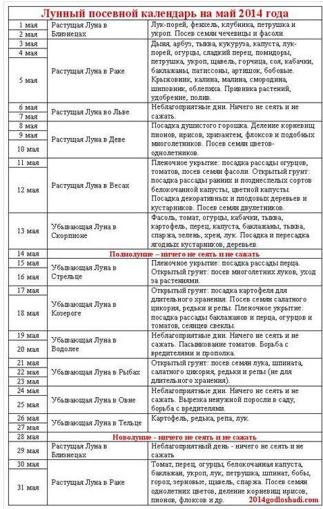 текст при наведении