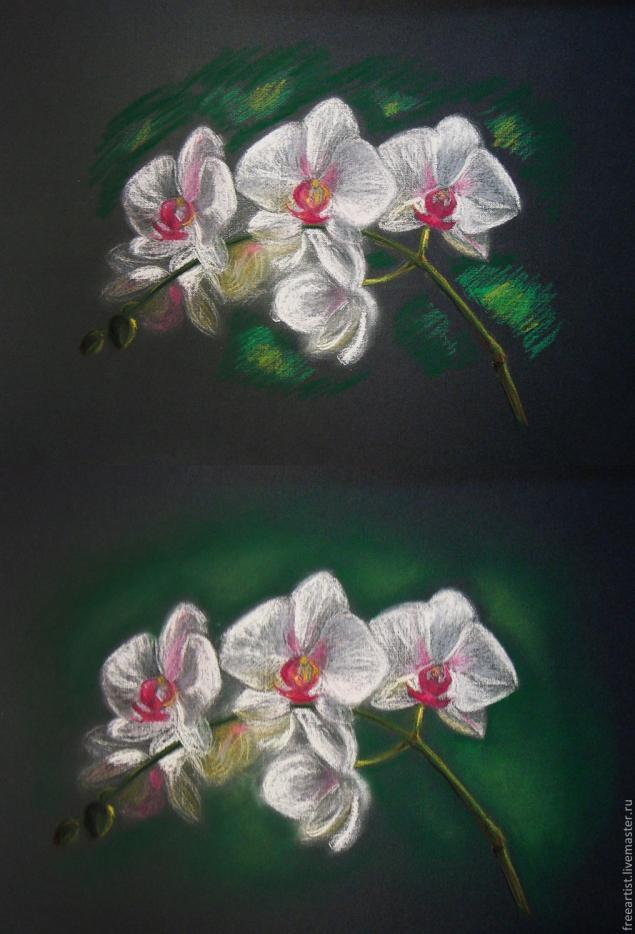 как рисовать орхидею поэтапно