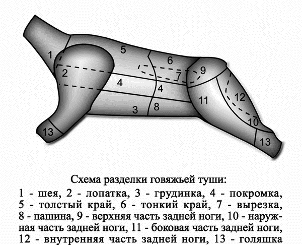 текст при наведении