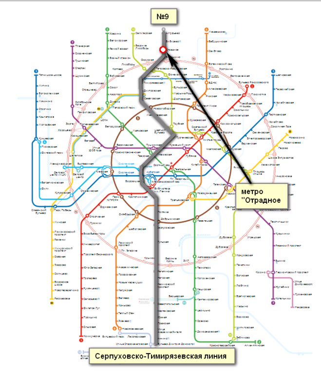 Отрадное какое метро. Схема метро Москвы Отрадное. Бибирево на схеме метро Москвы. Схема метро Москвы станция Алтуфьево. Метро Отрадное на схеме метрополитена.