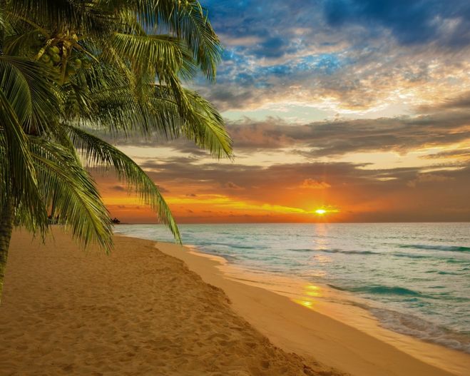 пляж с пальмой и огненным небом