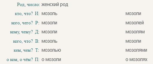 Мозоли в единственном числе. Мозоль склонение. Какого рода слово мозоль. Просклонять слово мозоль. Мозоль какой род и склонение.